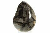 Septarian Dragon Egg Geode - Black Crystals #304620-2